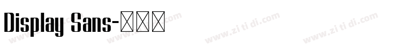 Display Sans字体转换 Display Sans字体转换